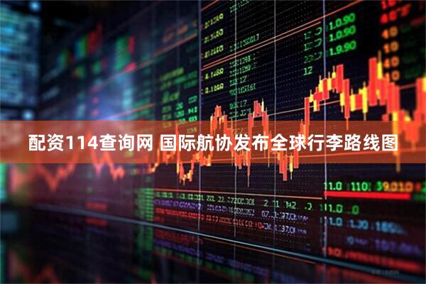 配资114查询网 国际航协发布全球行李路线图