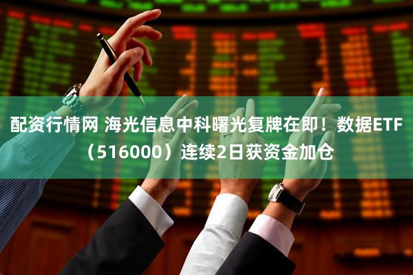 配资行情网 海光信息中科曙光复牌在即！数据ETF（516000）连续2日获资金加仓