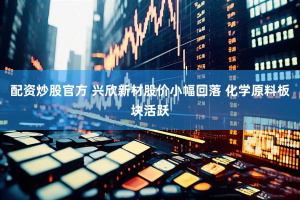 配资炒股官方 兴欣新材股价小幅回落 化学原料板块活跃