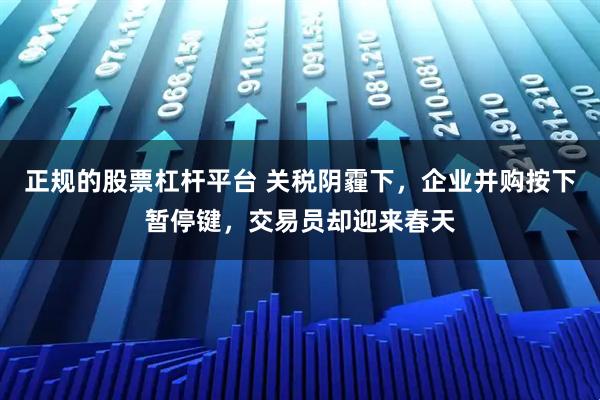 正规的股票杠杆平台 关税阴霾下，企业并购按下暂停键，交易员却迎来春天