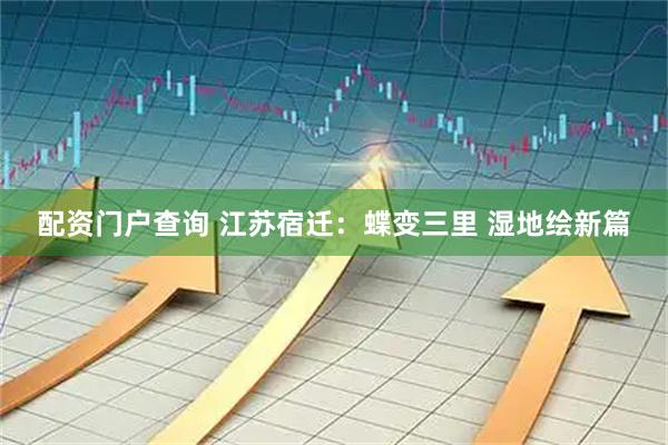 配资门户查询 江苏宿迁：蝶变三里 湿地绘新篇
